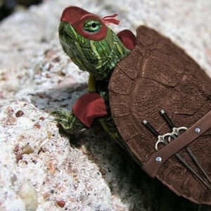 Meet your Posher, Acacia